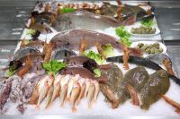 philosofy-seafood philosofy-seafood